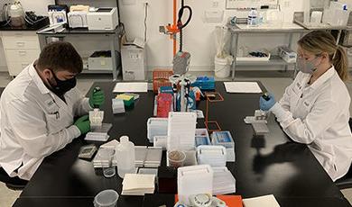 Rachel Toews和Austin Gouveia在实验室的工作台上进行测试.